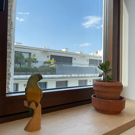 Stylish Apartment, Floor With Private Terrace Appartement